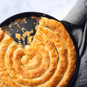 Σφολιατοειδή